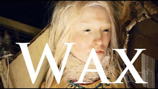 Meet the woman who builds housemates out of wax